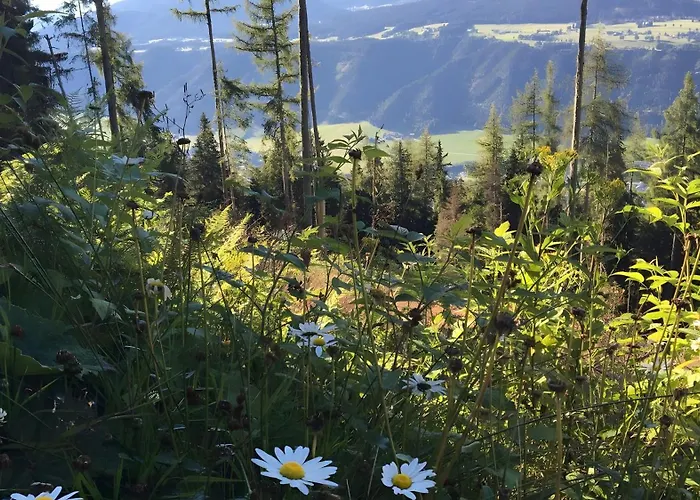 Planai Mitte Apartment *